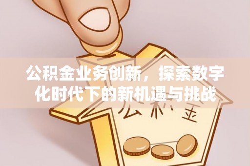 建平公积金业务创新，探索数字化时代下的新机遇与挑战