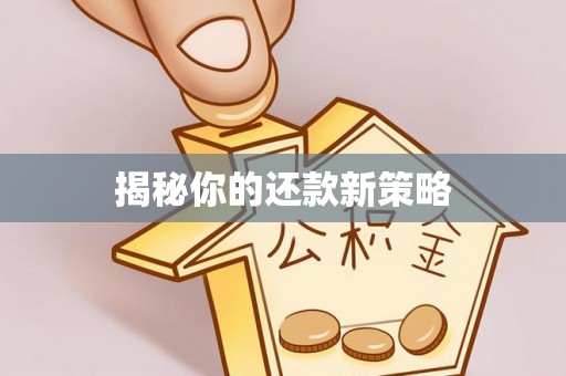 建平揭秘你的还款新策略