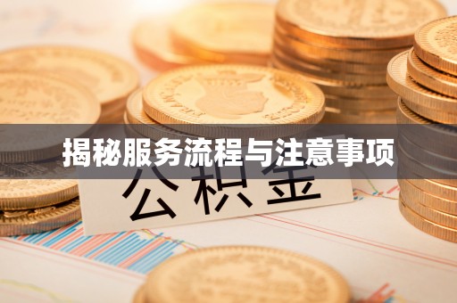 建平揭秘服务流程与注意事项