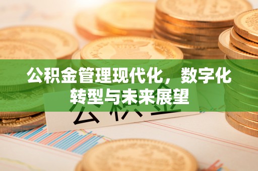 建平公积金管理现代化，数字化转型与未来展望