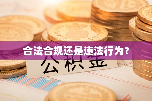建平合法合规还是违法行为？