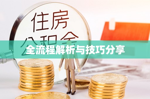 建平全流程解析与技巧分享