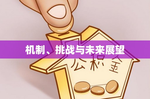 建平机制、挑战与未来展望